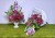 rubinowy zmierzch bordo purpurowa kompozycja na pomnik sylikonowe storczyki bordowe dalie bordowe anemone rozowe roze purpurowe gerbery kosz polksiezyc dociaczony betonem komplet nagrobny Kwiaty pro kwiaty sztuczne jak zywe