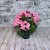 bukiet pelargonii rozowy taras czarna doniczka flowers garden sztuczna pelargonia rozowe kwiaty okragle liscie ozdoba do domu kompozycja na pomnik grobowiec stroik na cmentarz kwiaty na cmentarz nowoczesne stroiki ze sztucznych kwiatów