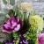wrzosowa poswiata elegancka kompozycja kwiatowa na cmentarz z piankowymi magnoliami czosnkiem i chryzantemami purpurowa dalia pierzasta chryzantema kwiaty na cmentarz wiazanka na wszystkich swietych